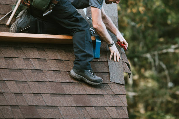 Best Roof Gutter Cleaning  in Tower City, PA